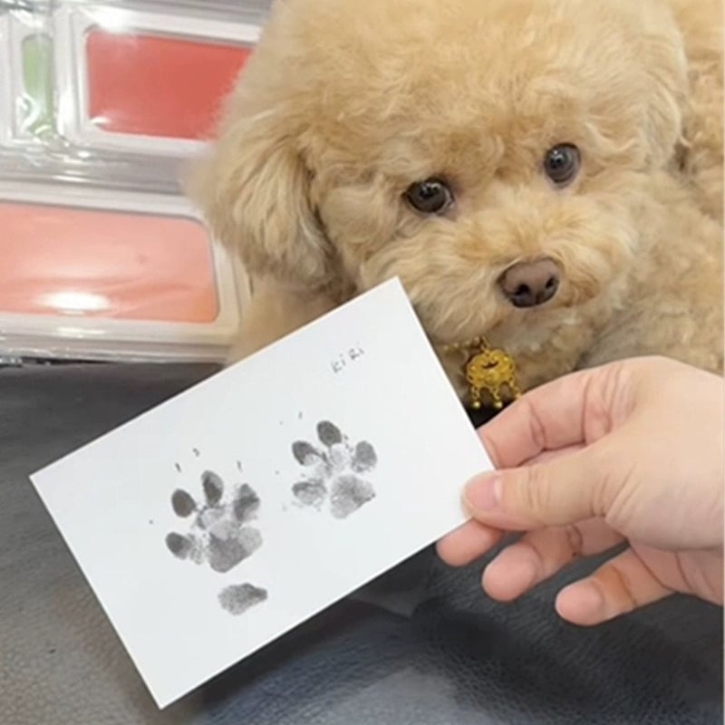 šš¶š±Paw print kit