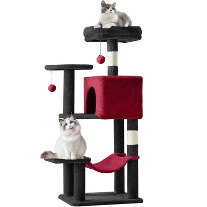 PurrHaven – Erhält Glück, Ruhe und Unterhaltung für bis zu 23 Katzen