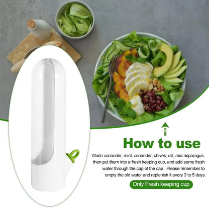 HerbPod™ | Frischhaltebehälter für Gemüse und Kräuter