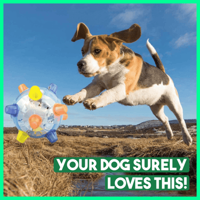 BounceBark™ – Der Ball, der Langeweile vertreibt
