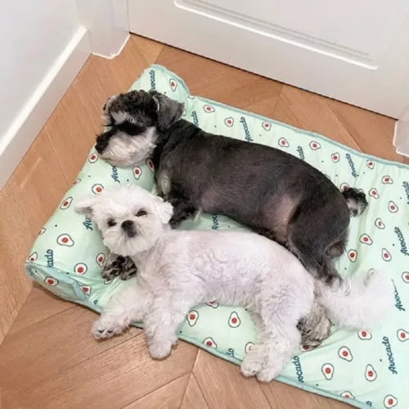 50% RABATT | CoolPetty™ | Kühlmatte aus Eis-Seide für Hunde und Katzen [Letzter Tag Rabatt]