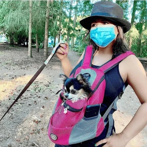 DogFri™ | Backpack - Atmungsaktive Hundetasche