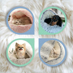 SnugPaws – Kuscheliges Plüschbett für Hunde & Katzen