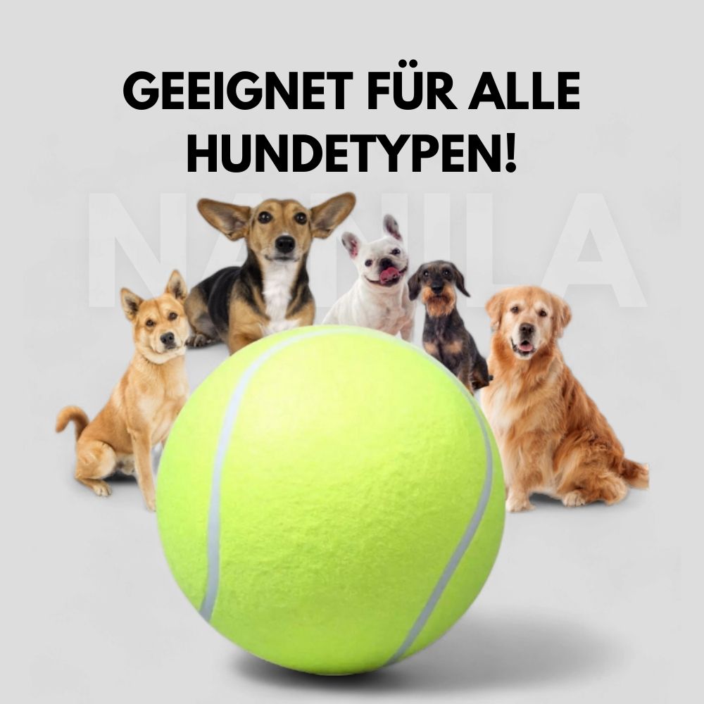 JumboPlay™ | Verwandeln Sie Spielzeit in Spielspaß auf hohem Niveau