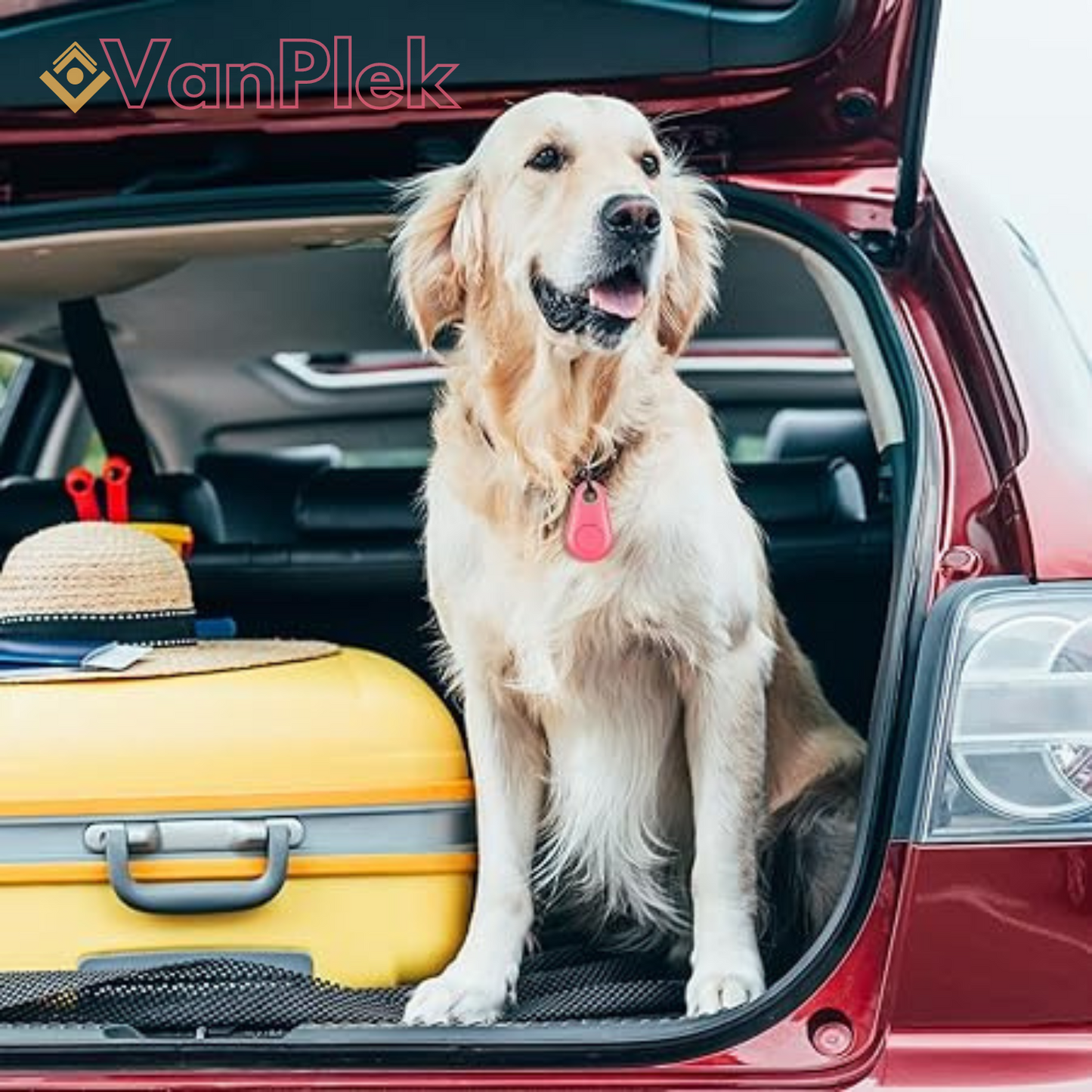 DogCatFri™ | PetTracker - Bluetooth und GPS drahtloser Tracker für Haustiere