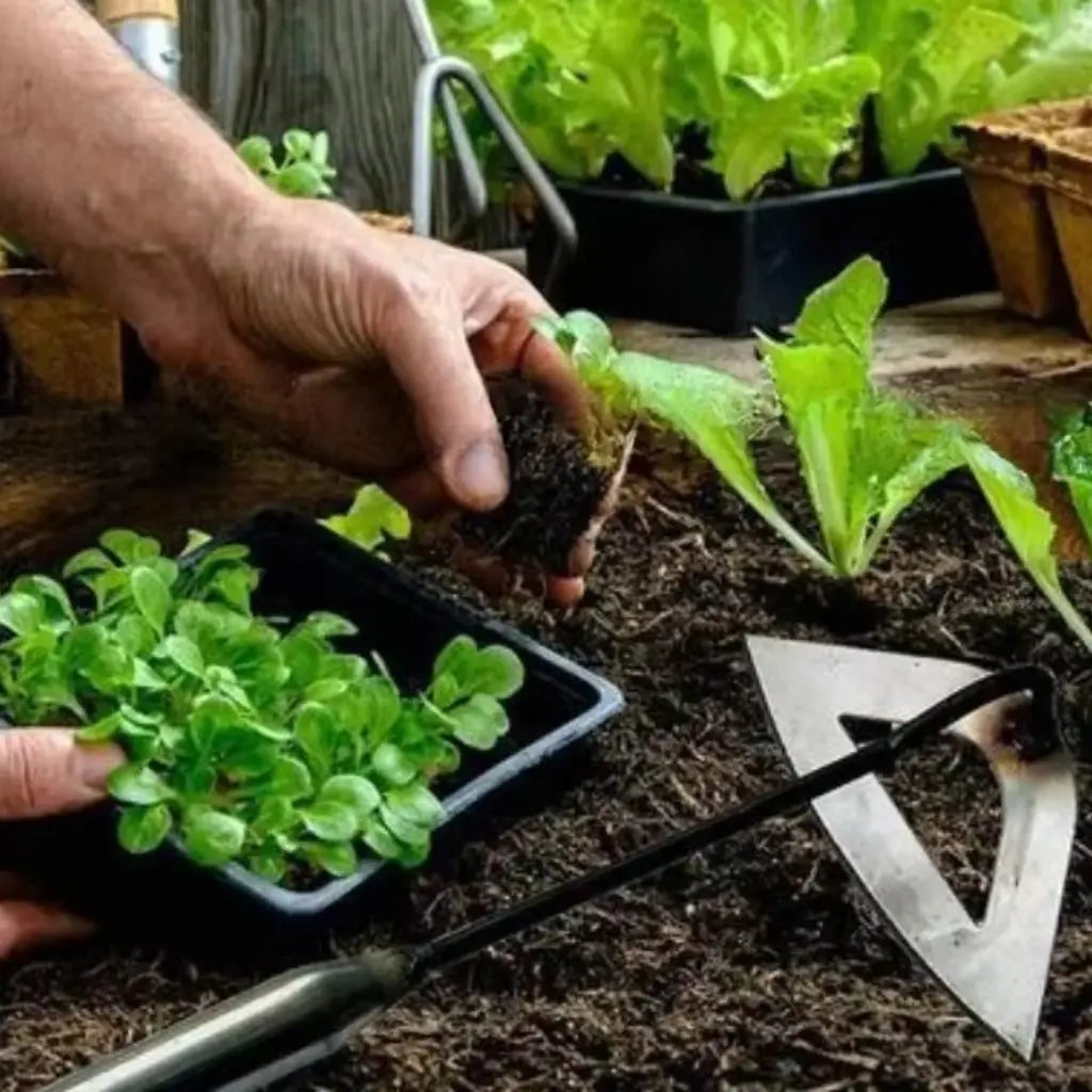 GardenEase - Aufrechter Hohlklingen-Unkrautzieher