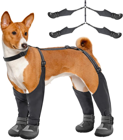 PawGuard™ - Verstellbare Hundeträger-Stiefel für Winterwanderungen