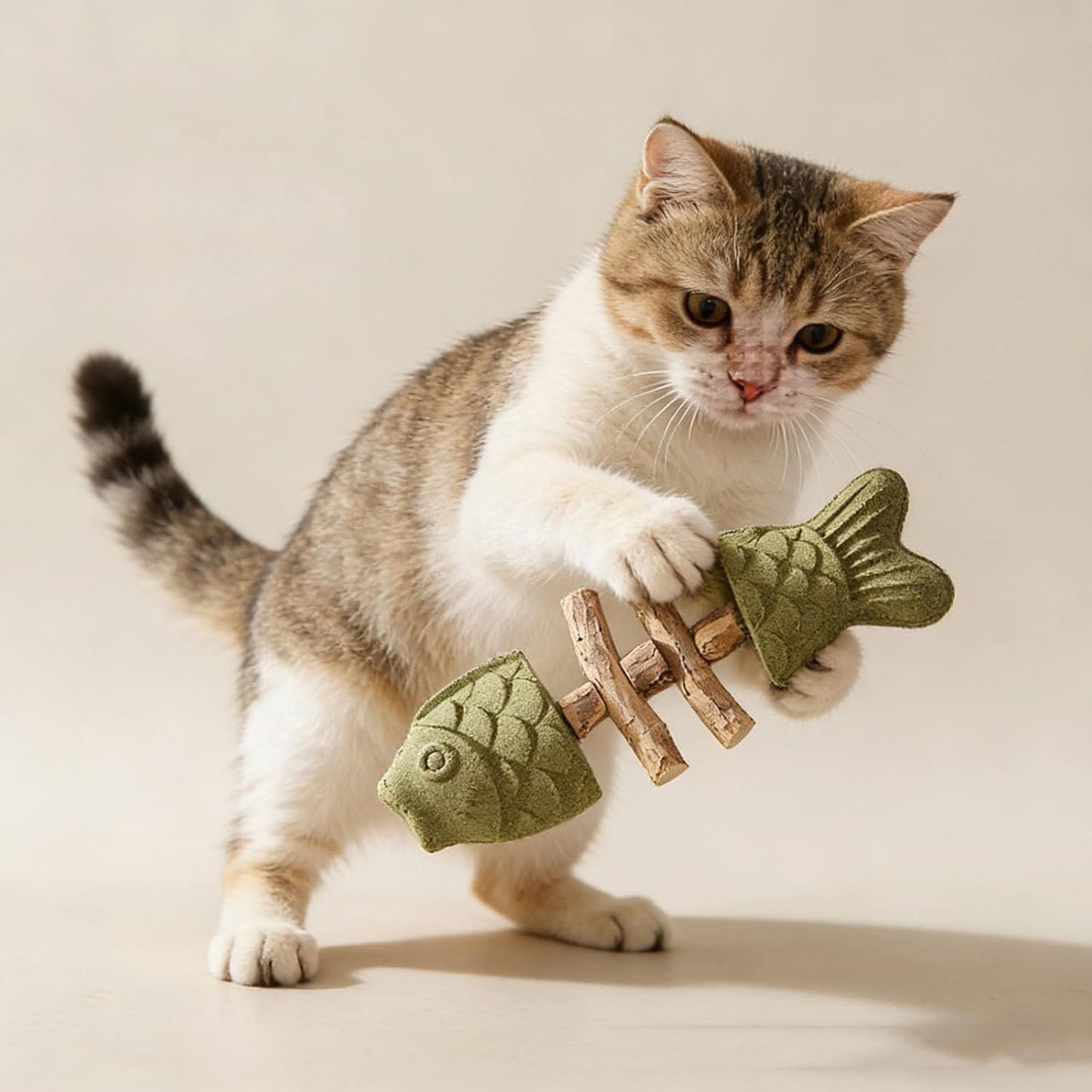 PurrEase – Beruhigt Katzen auf natürliche Weise und reinigt sanft die Zähne