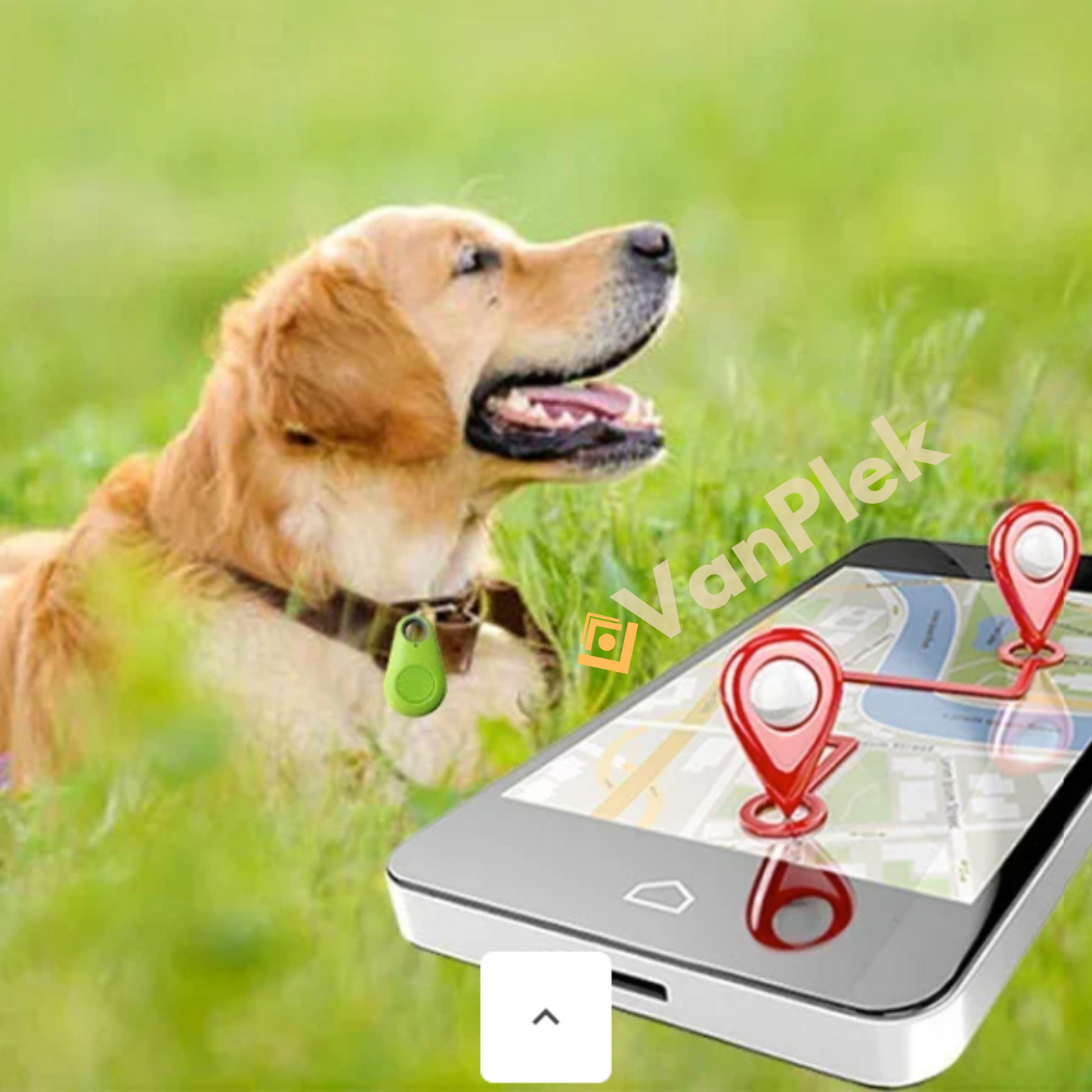 DogCatFri™ | PetTracker - Bluetooth und GPS drahtloser Tracker für Haustiere