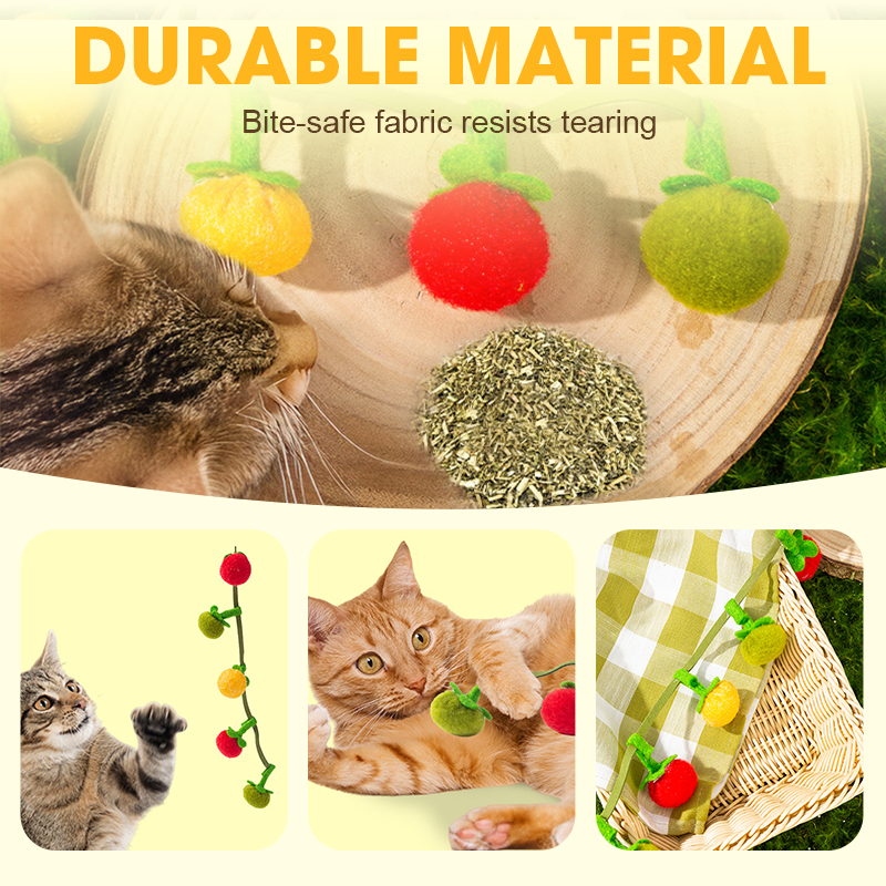 PurrVibe - Wecke Verspieltheit und steigere die Energie deiner Katze heute