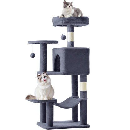 PurrHaven – Erhält Glück, Ruhe und Unterhaltung für bis zu 23 Katzen