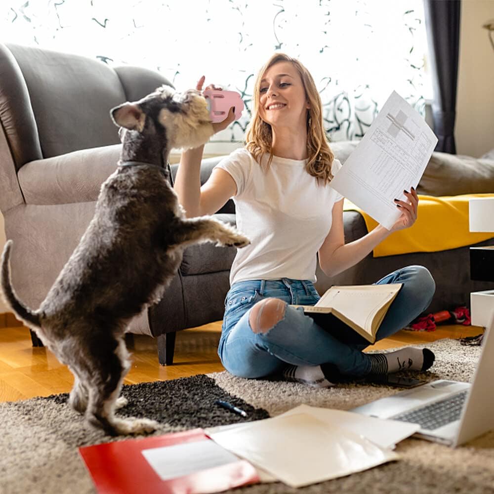 FetchFun™ - Langlebiges Tennis-Hundespielzeug zum Kauen für aktives Spiel