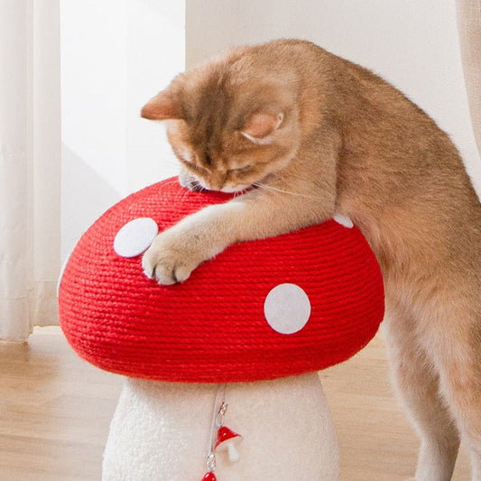 PurrPlay - Sisal-Seil Pilz-Kratzbaum für Katzen