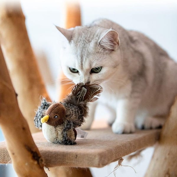 Petalk™ | Ihre Katze wird sich nie wieder langweilen