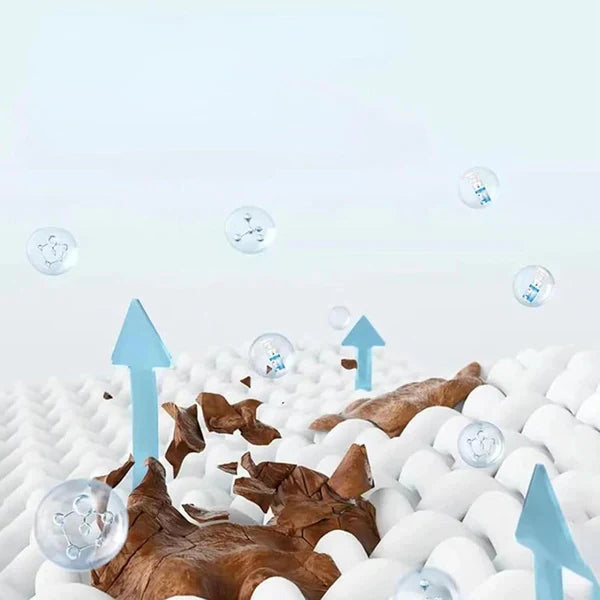 CleanMax™ – Wasserloser Trockenreiniger für schonende Stoffpflege