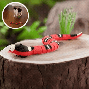 50% Rabatt | SnakeToy™ - Intelligentes Spielzeug für Katzen [Letzter Tag Rabatt]