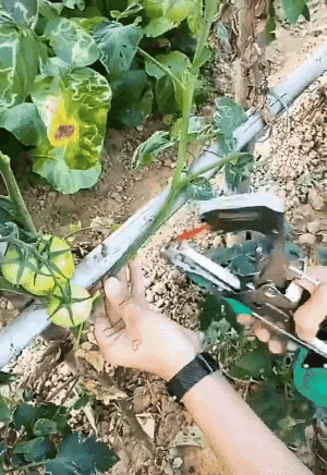 GreenLink™ - Automatisches Bindewerkzeug für Gartenpflanzen