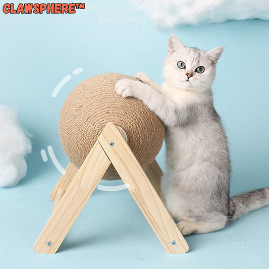 Interaktiver drehbarer Katzenspielball für aktives Spiel und Fitness