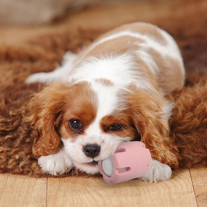 FetchFun™ - Langlebiges Tennis-Hundespielzeug zum Kauen für aktives Spiel