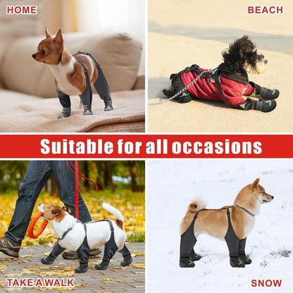 PawGuard™ - Verstellbare Hundeträger-Stiefel für Winterwanderungen