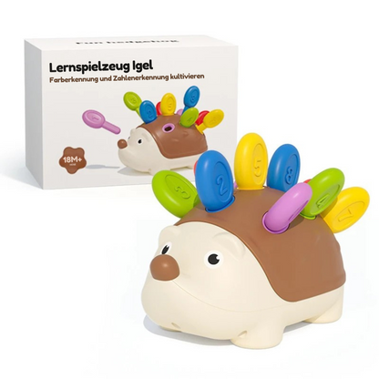 Hedgy™ | Lernspielzeug Igel