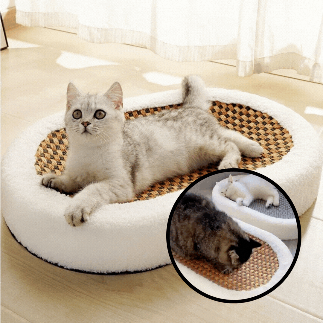 50% Rabatt | Cat Scratch Lounge™ - Plüsch-Katzenbett mit kratzbarer Oberfläche