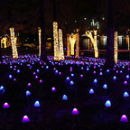 Belevaro LED-Licht setzt den Garten abends atmosphärisch in Szene