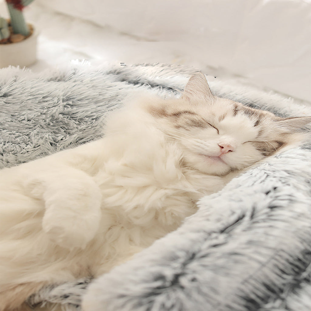SnugPaws – Kuscheliges Plüschbett für Hunde & Katzen