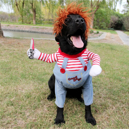 50% RABATT | ChuckyDog™ | Das Halloween-Kostüm für Ihren Hund!