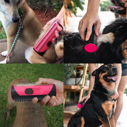 FurSleek™ | Bürste für die Hundepflege