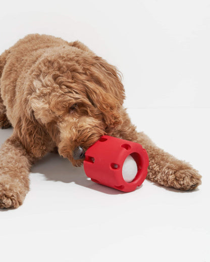 FetchFun™ | Tennis Hundekauspielzeug