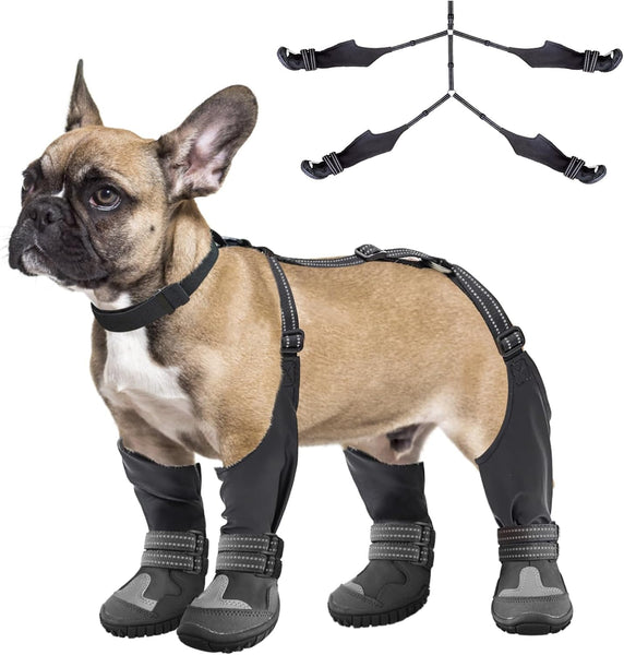 PawGuard™ - Verstellbare Hundeträger-Stiefel für Winterwanderungen