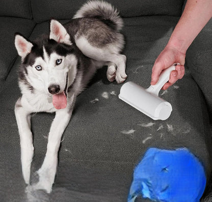 Wiederverwendbarer Tierhaarbeseitiger Roller für Kleidung und Möbelreinigung