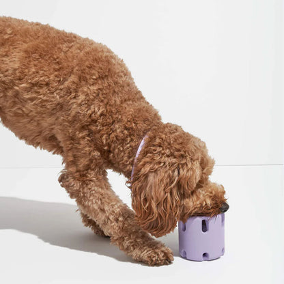 FetchFun™ - Langlebiges Tennis-Hundespielzeug zum Kauen für aktives Spiel