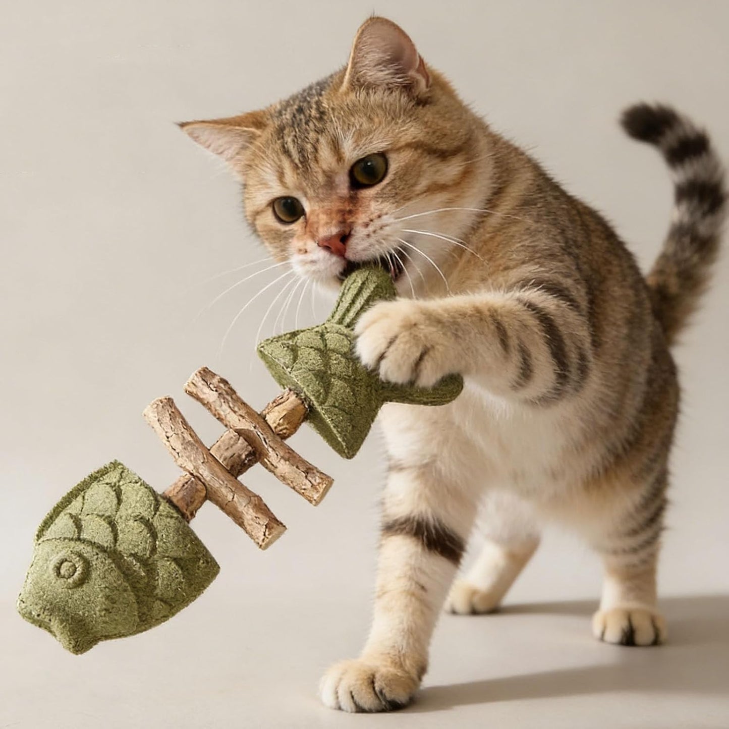 PurrEase – Beruhigt Katzen auf natürliche Weise und reinigt sanft die Zähne