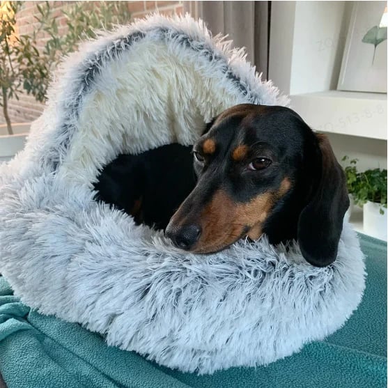 SnugPaws – Kuscheliges Plüschbett für Hunde & Katzen