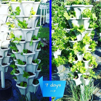 BloomTower™ | Lassen Sie Ihren grünen Daumen arbeiten!