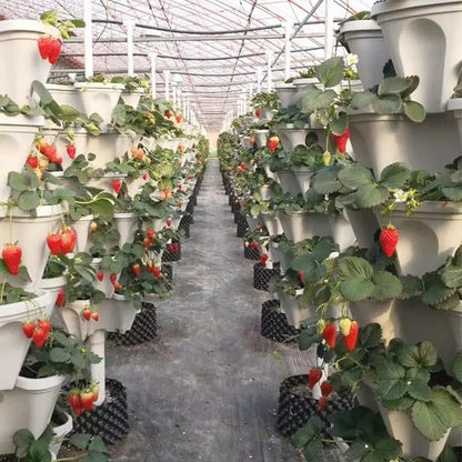 BloomTower™ | Lassen Sie Ihren grünen Daumen arbeiten!